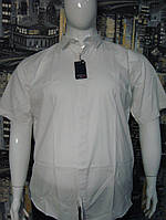 Сорочка чоловіча великого розміру, однотонна біла класика 2XL, 3XL, BARCOTTI Туреччина