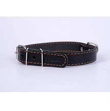 Нашийник для собак і кішок COLLAR 10мм/ 22-30см 00151, чорний