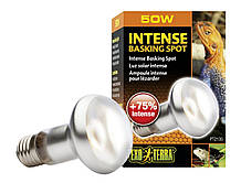 Лампа Exo Terra Sun Glo Tight Beam S20, 50 Вт.