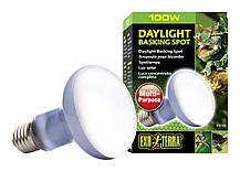 Лампа Exo Terra Sun Glo Neodymium R25, 100 Вт.
