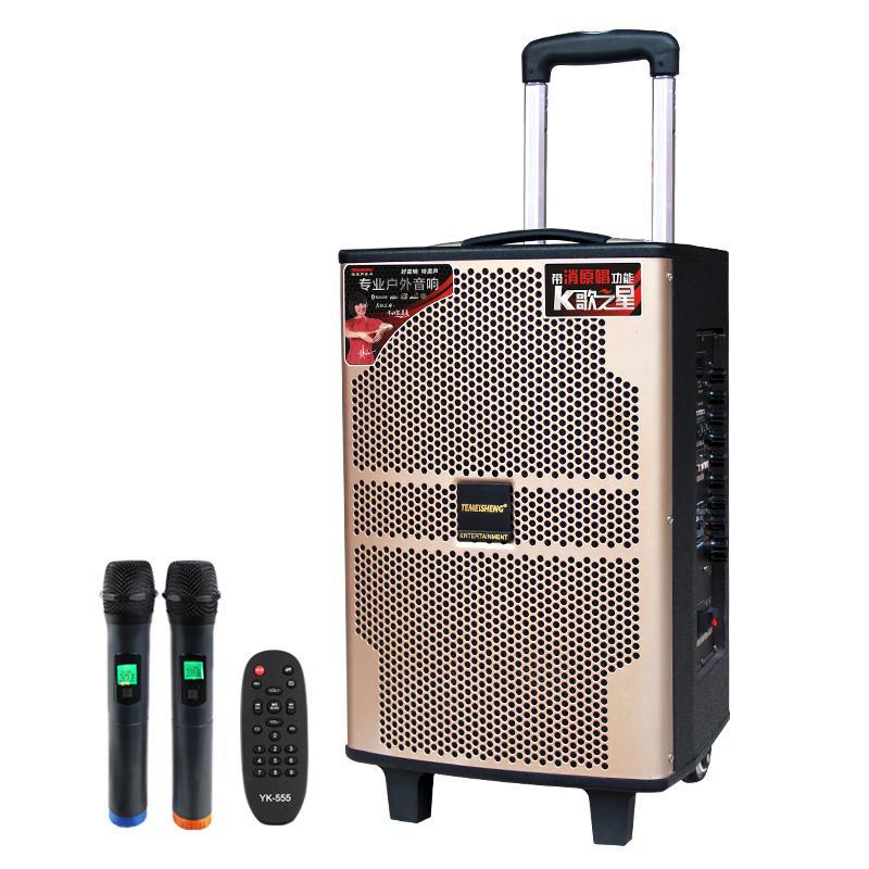 Портативна колонка з мікрофонами Temeisheng QX-1020 300 W (USB/Bluetooth/Пульт ДК), фото 1