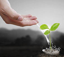 Біодобрива