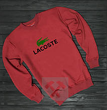 Чоловіча спортивна кофта Лакост (Lacoste), чоловічий трикотажний світшот, (на флісі і без)