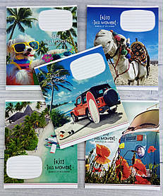 Зошит 12 аркушів, клітинка Enjoy this moment 2896(12к) Школярик Україна