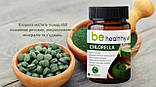Хлореа 90 табл. BE HEALTHY Джерелія Jerelia, фото 3