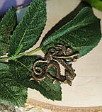 Бронзовий дракон, фото 8