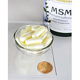 Сірка для суглобів Swanson MSM 500 мг 250 капсул, фото 2