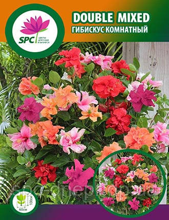 Гібіскус кімнатний махровий (суміш)