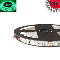 Гнучка світлодіодна стрічка 24V 5М 300 SMD 2835 вологостійка зелена (біла основа)