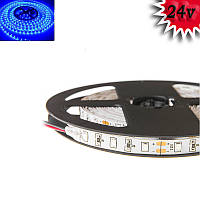 Гнучка світлодіодна стрічка 24V 5М 300 SMD 2835 вологостійка синя (біла основа)
