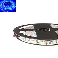 Гнучка світлодіодна стрічка 12V 5М 300 SMD 2835 вологостійка синя (біла основа)