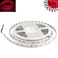 Гнучка світлодіодна стрічка 24V 5М 300 SMD 5050 вологостійка червона (біла основа)