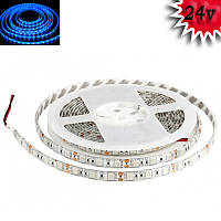 Гнучка світлодіодна стрічка 24V 5М 300 SMD 5050 вологостійка синя (біла основа)