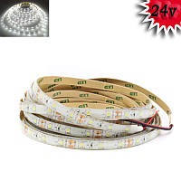 Гнучка світлодіодна стрічка 24V 5М 300 SMD 3528 вологостійка біла (біла основа)