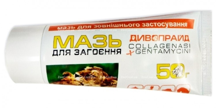 Дивопрайд мазь ранозаживляющая 50г: продажа, цена в Киеве ...
