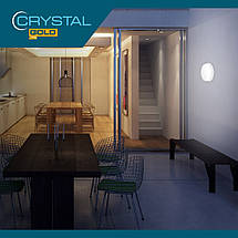 Світильник Світлодіодний Сrystal Koral 24Вт 6500K Накладний (DNL-033), фото 2