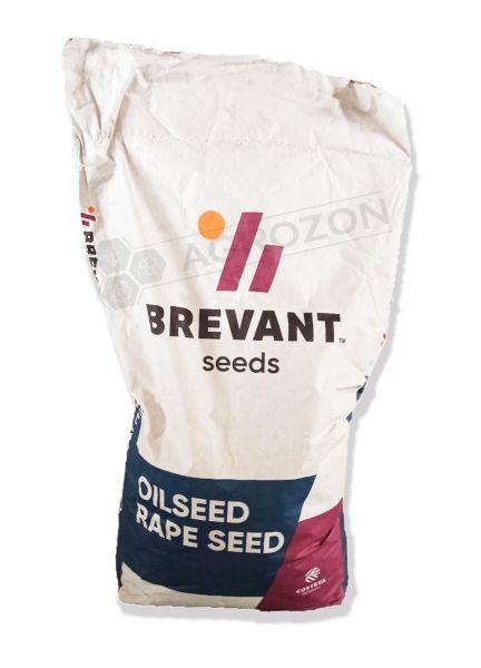 Озимий ріпак PR44D06 Brevant