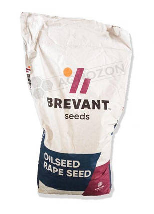 Озимий ріпак PR44D06 Brevant, фото 1