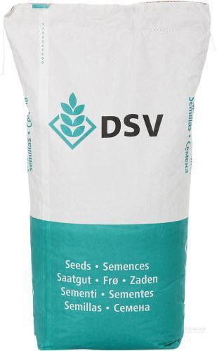 Озимий ріпак Смарагд DSV  - п.о.