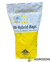 Озимий ріпак Темпо NPZ-Lembke - 1 п.о.