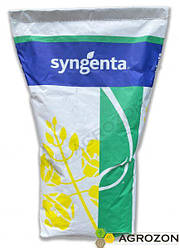 Озимий ріпак Торес Syngenta