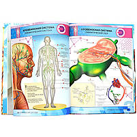 Книга для розвитку дитини Devar «Енциклопедія 4D Анатомія в доповненої реальності», фото 3