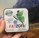 Фатзорб плюс (Fatzorb Plus) для тих, кому важко схуднути 1800 грн, мінус — 10 кг ваги схуднення. Французький, фото 10