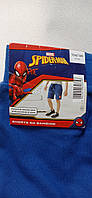Детские брендовые шорты 134/140 рост Spider-men синие