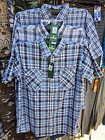 Рубашка мужская летняя с коротким рукавом норма 3 кармана