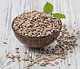 Насіння соняшника сире очищене 500г, Ядро насіння соняшнику Україна, фото 3