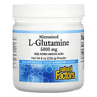 Микронизированный L-глутамин Natural Factors "Micronized L-Glutamine" в порошке, 5000 мг (226 г)