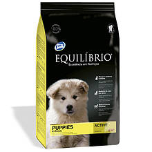 Сухий корм Equilibrio (Эквилибрио) Puppies Medium Breeds для щенят середніх порід, 15 кг