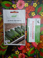 Насіння огірка Гектор F1 (Nunhems/Агропак+), 50 насіння — бджолинозапальний, ультрародний гібрид (40-44 дні)