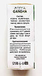 Ashwagandha (Ашваганда) настоянка для потенції Ashwa Gandha Ашва Ганда, фото 3