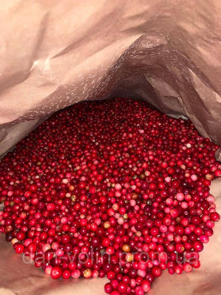 Wild lingonberries IQF, Лісова брусниця заморожена