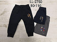 Спортивные штаны для мальчика, Sincere, 86 см, № LL-2750