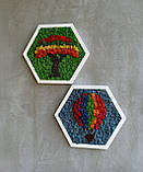 Декор в дитячу кімнату. Набыр з двох картин з моху. Повітряна куля, дерево бажання, фото 5