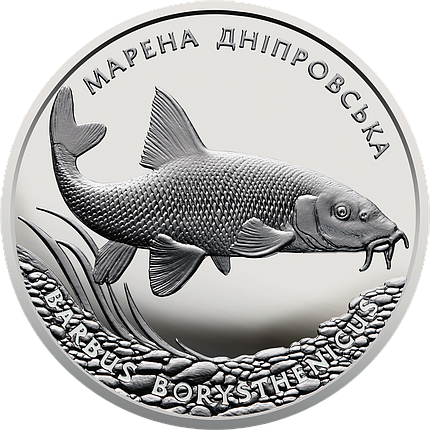 Срібна монета НБУ "Марена дніпровська", фото 3