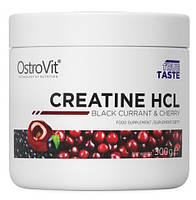 Креатин гідрохлорид OstroVit Creatine HCL 300 грам