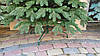 Лита ялинка Швейцарська 2.10м. зелена, фото 3