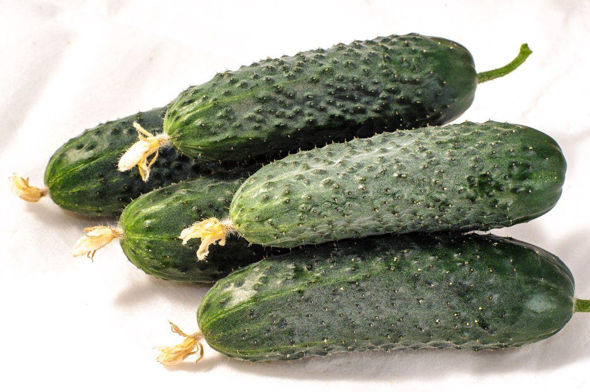 Афсар F1 насіння огірка, 1000 насіння — партенокарпічний, темно-зелений, 35-40 днів, Nong Woo Bio