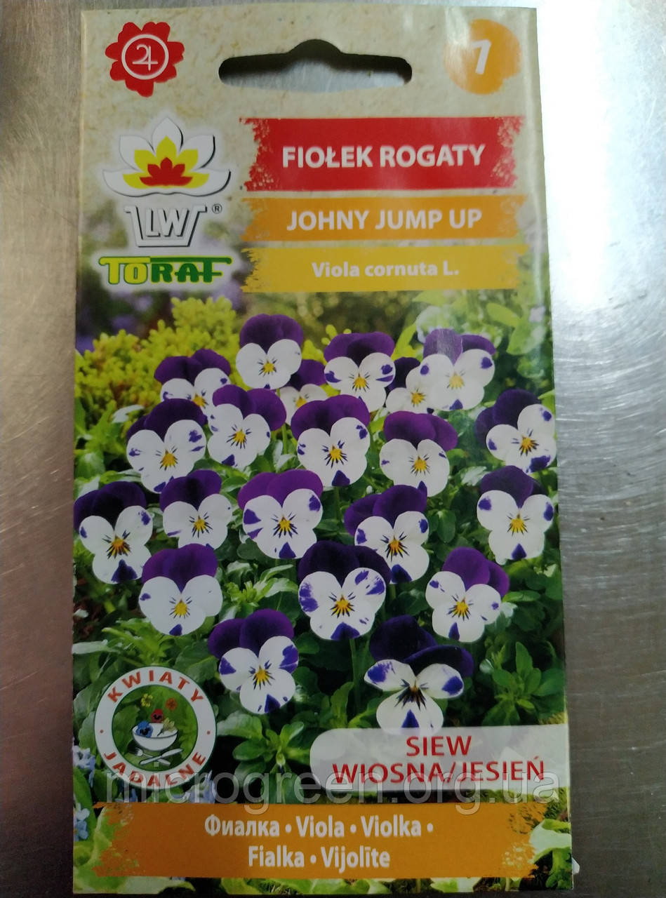 Насіння Віола (анютині вічка) Фіалка рогата корнута 0.3 г