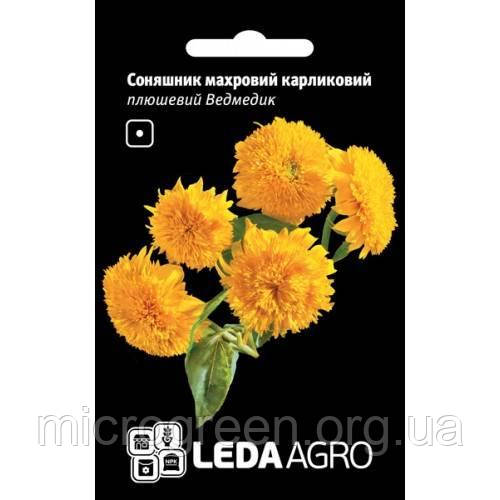 Семена Подсолнух Плюшевий Ведмедик, махровий карликовий 1 г, фото 1