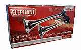 Сигнал повітряний CA-10238 Elephant 2 дудки метал 12v/24v, фото 2