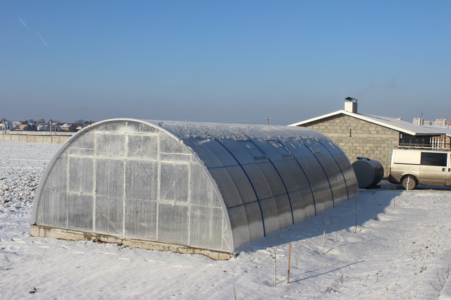 теплиці з полікарбонату