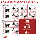 Royal Canin FIT 32 Роял Канін для ФІТ 32 для домашніх і бувають на вулиці котів, 4 кг, фото 2