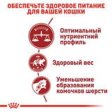 Royal Canin FIT 32 Роял Канін для ФІТ 32 для домашніх і бувають на вулиці котів, 4 кг, фото 3