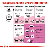 Royal Canin Kitten Роял Канин кіттен НАБІР сухий корм для кошенят від 4 до 12 мес, 400 гр, фото 5