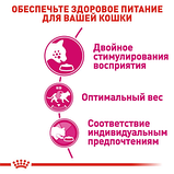 Royal Canin Savour Exigent Роял Канін Савур корм для вибагливих котів, 4 кг, фото 5