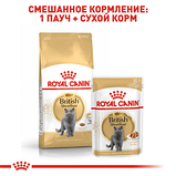 Royal Canin British Shorthair Роял Канін бритиш для британських кішок, 400 гр, фото 6